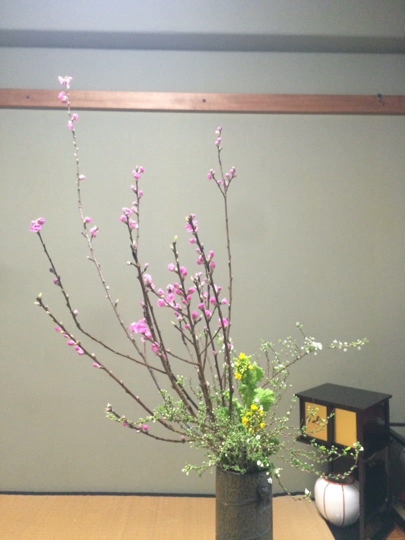 花を生ける ８ ワンダー西国分寺レガ店のブログ